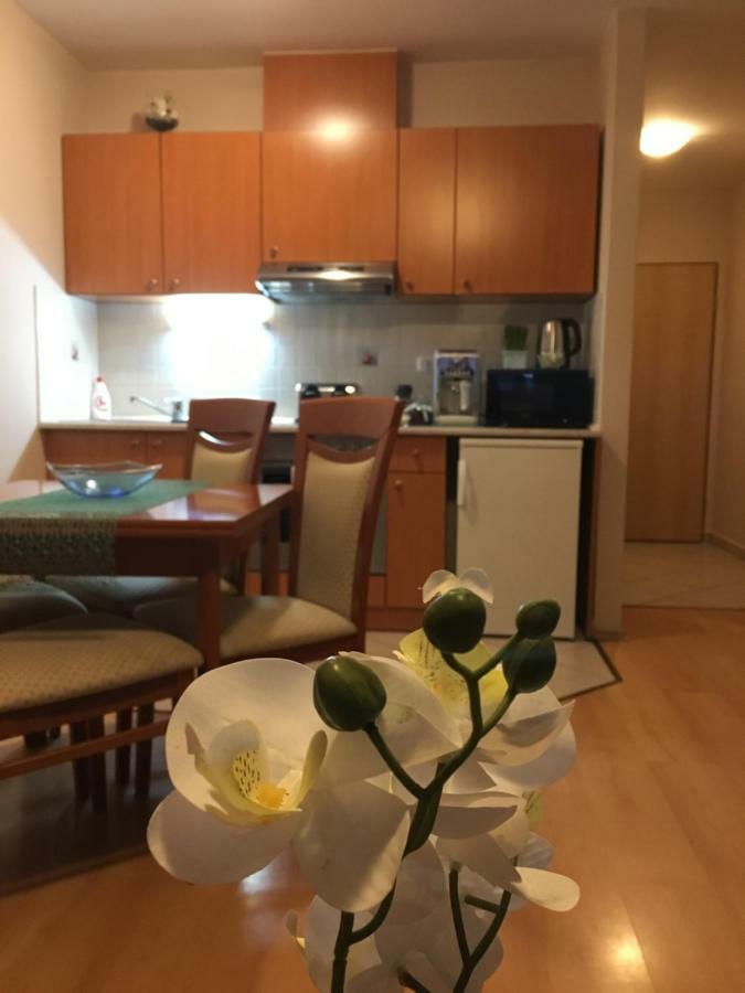 Orchidea Apartman Hegykő Esterno foto